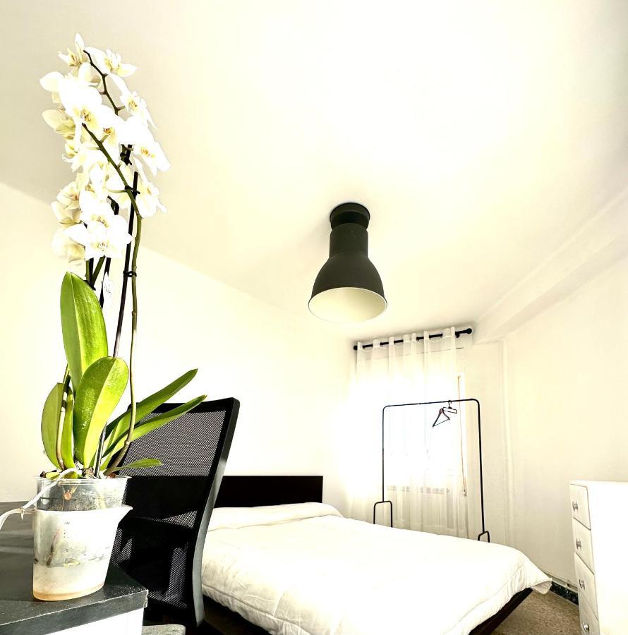 Apartamento Cebra Lejlighed Zaragoza Eksteriør billede