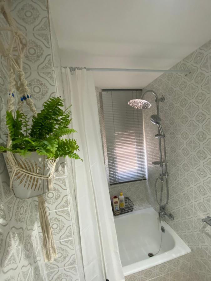 Apartamento Cebra Lejlighed Zaragoza Eksteriør billede
